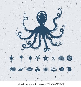 collection of sea creatures: giant octopus, seashells, starfishes and mollusks