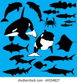 Collection of sea creatures vector silhouettes