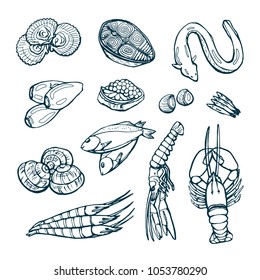 Collection of sea delicacies. Vector hand drawings on white background.