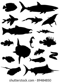 Collection of sea mammals and fishes