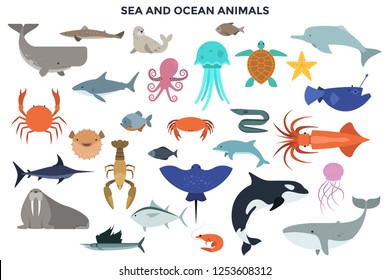 Collection of sea and ocean animals - marine mammals, reptiles, fish, molluscs, crustaceans. Set of cute cartoon characters isolated on white background. Colorful vector illustration in flat style.
