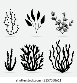 Collection of sea plant silhouette vector illustration.
