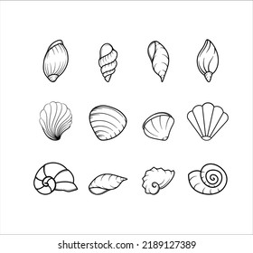 Collection of Sea Shell Animal Illustrations 