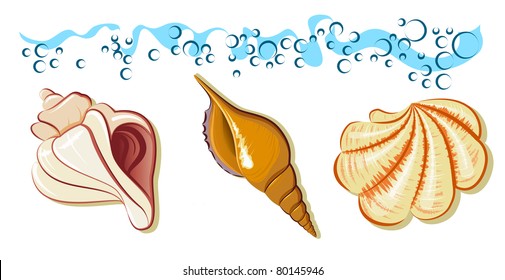 collection of sea shell on the beach with wave