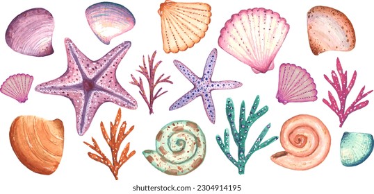 Collection of sea shells. 17 elements. Suitable for the holiday of the sea and for creating designs, patterns.