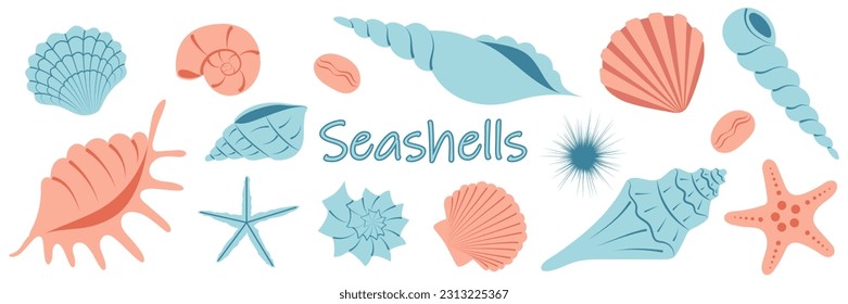 Collection of sea shells. Blue and pink cartoon shell. Summer set of underwater elements. Marine background