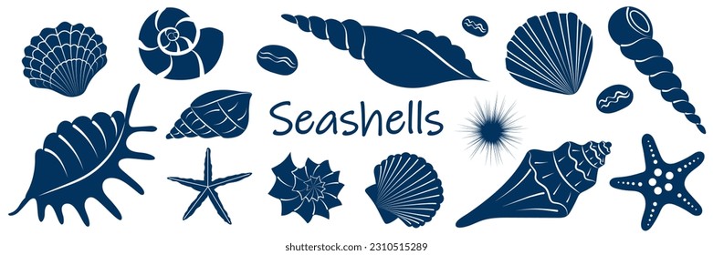 Collection of sea shells. Blue silhouettes of shell. Summer set of underwater elements. Marine background