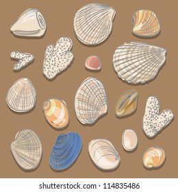 Collection of sea shells and corals
