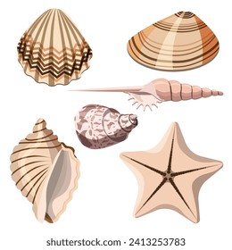 Collection of sea shells isolated on white background.Vector set for textile, summer travel designs.