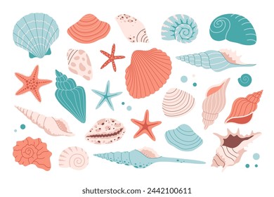 Collection of sea shells, mollusks, starfish, sea ​​snails. Tropical beach shells. Vector illustration in flat style