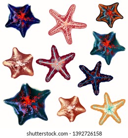 Collection of sea starfishes, summer mood design