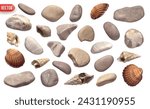 Collection of sea stones and shell and scallop. Set of Scallop seashell closed shapes of objects realistic 3d design. Design elements isolated on white background. Vector illustration