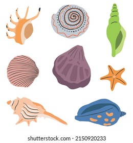 Collection with sea underwater shells. Seashells, undersea molluscs. Marine mollusks. Flat vector illustration isolated on white background
