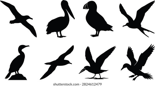 Collection of seabird black silhouettes featuring albatross pelican puffin cormorant and gulls isolated on white.eps
