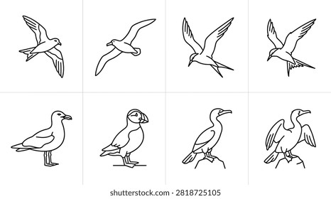 Collection of Seabird Line Art Illustrations Featuring Flying and Perched Birds