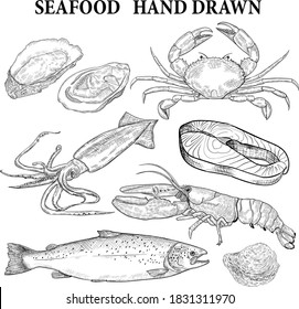 Collection of seafood hand drawn or drawing vector illustration. seafood hand drawn or drawing fish, squid, salmon, crab, oyster shrimp, vector line hand drawn 