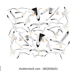 Collection of seagull fly on sky  vector illustration isolated on white background, sea or ocean bird with spread wings. Bird gull  fly silhouette.