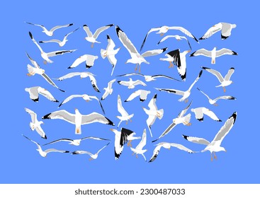 Collection of seagull fly on sky  vector illustration isolated on blue background, sea or ocean bird with spread wings. Bird gull  fly silhouette.