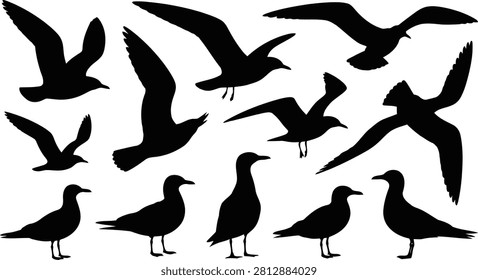 Collection of seagull silhouettes in various flying and standing positions