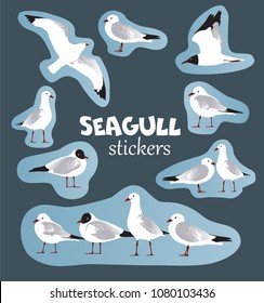 collection of seagull stickers