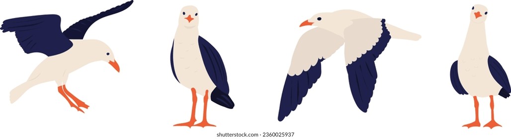 collection of seagulls birds  vector