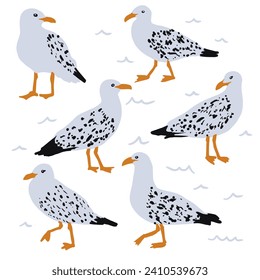 Collection of seagulls. Vector illustration of cartoon seagulls birds in different actions: standing, jumping, running, walking. Isolated on white.