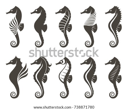 collection of seahorse on isolated white background Stock photo © 