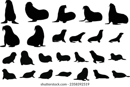 Collection of sealion silhouettes, isolated vector on white background
