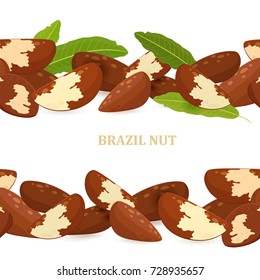 collection of seamless borders with brazil nuts for your design 