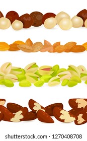 collection of seamless borders with different nuts. almonds,  pistachio, macadamia and Bertholletia excelsa for your design 