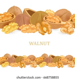 collection of seamless borders with walnuts for your design 