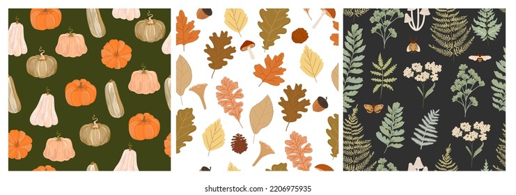 Collection of seamless pattern with autumn plants and pumpkin. Editable vector illustration.