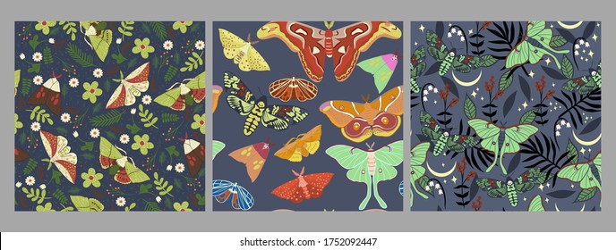 Collection of seamless pattern with night butterflies. Vector graphics.