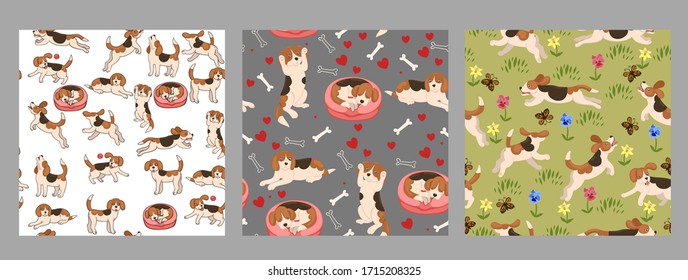 Collection of seamless patterns with beagle puppies. Vector graphics.