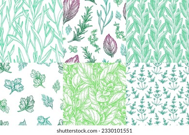 Collection of seamless patterns with herbs. Hand drawn ink illustrations.