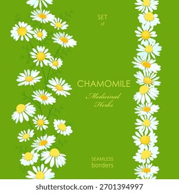 colección de bordes de Vertical sin fisuras con manzanilla de flores silvestres. conjunto de marco con planta medicinal manzanilla