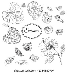 Collection of seashell,  monstera leaves and hibiscus. Hand drawn monochrome sketch. Vector illustration.