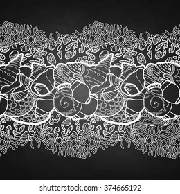 Collection of  seashells drawn in line art style on chalkboard. Sea and ocean endless vector border. Coloring page design. 