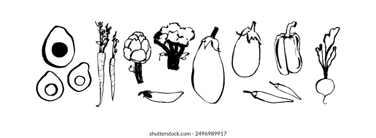 Collection of seasonal root vegetables. Beets and carrots, eggplant and pepper, broccoli, avocado, pea and chili peppers. Vector illustration. Isolated hand drawn linear doodles on white background