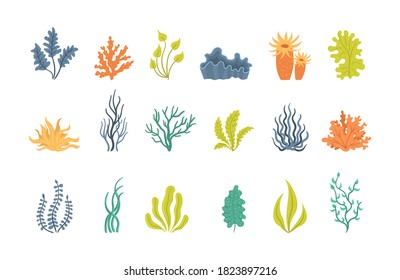 Collection of seaweeds, underwater sea plants, shells. Collection of cartoon algae. Vector illustration of seaweeds, planting, marine algae and ocean corals silhouettes. 