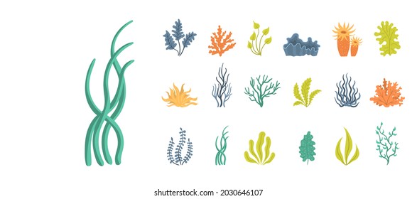 Collection of seaweeds, underwater sea plants, shells. Marine plants and aquatic algae set isolated on white background. Ocean corals silhouettes. Vector illustration, eps 10.