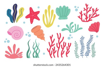 Collection of seaweeds, underwater sea plants, shells. Vector illustration