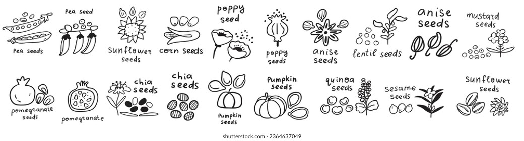 Collection of seeds icons. Outline vector hand drawn illustrations on white background. Black and white color.