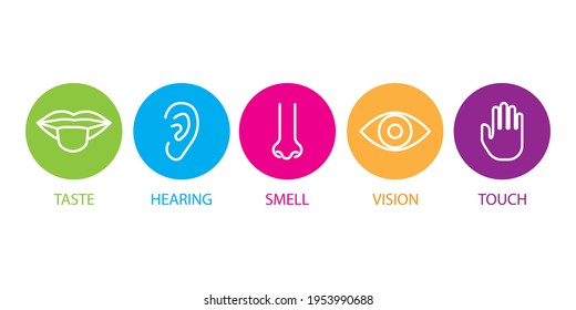 collection with sense organs colored circles for medical design. Stock image. Vector illustration. EPS 10.