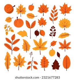 Collection set of Autumn fall leaves decoration element, flat style illustration.