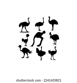 collection set bird ostrich design