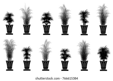 The collection set black decorative plants in black pots on a white background , Vector decorative black tree , Isolated black tree.