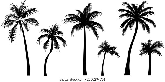 Collection set of black palm tree silhouettes isolated on white background