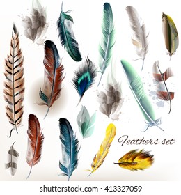 A collection or set of detailed bird feathers in realistic style