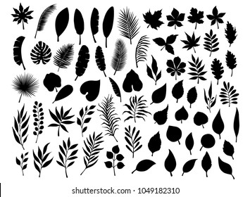 collection set of different shapes isolated silhouettes of tropical, forest, park trees and abstract nature leaves branches twigs plants foliage herbs elements in black color svg